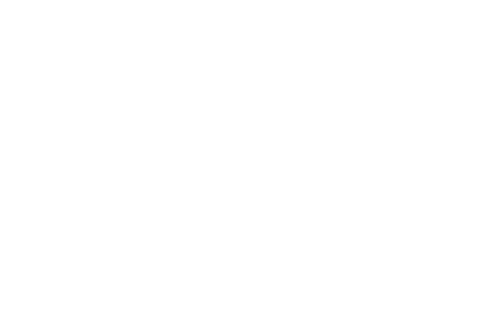 Hyatt Hyatt Gold Passport